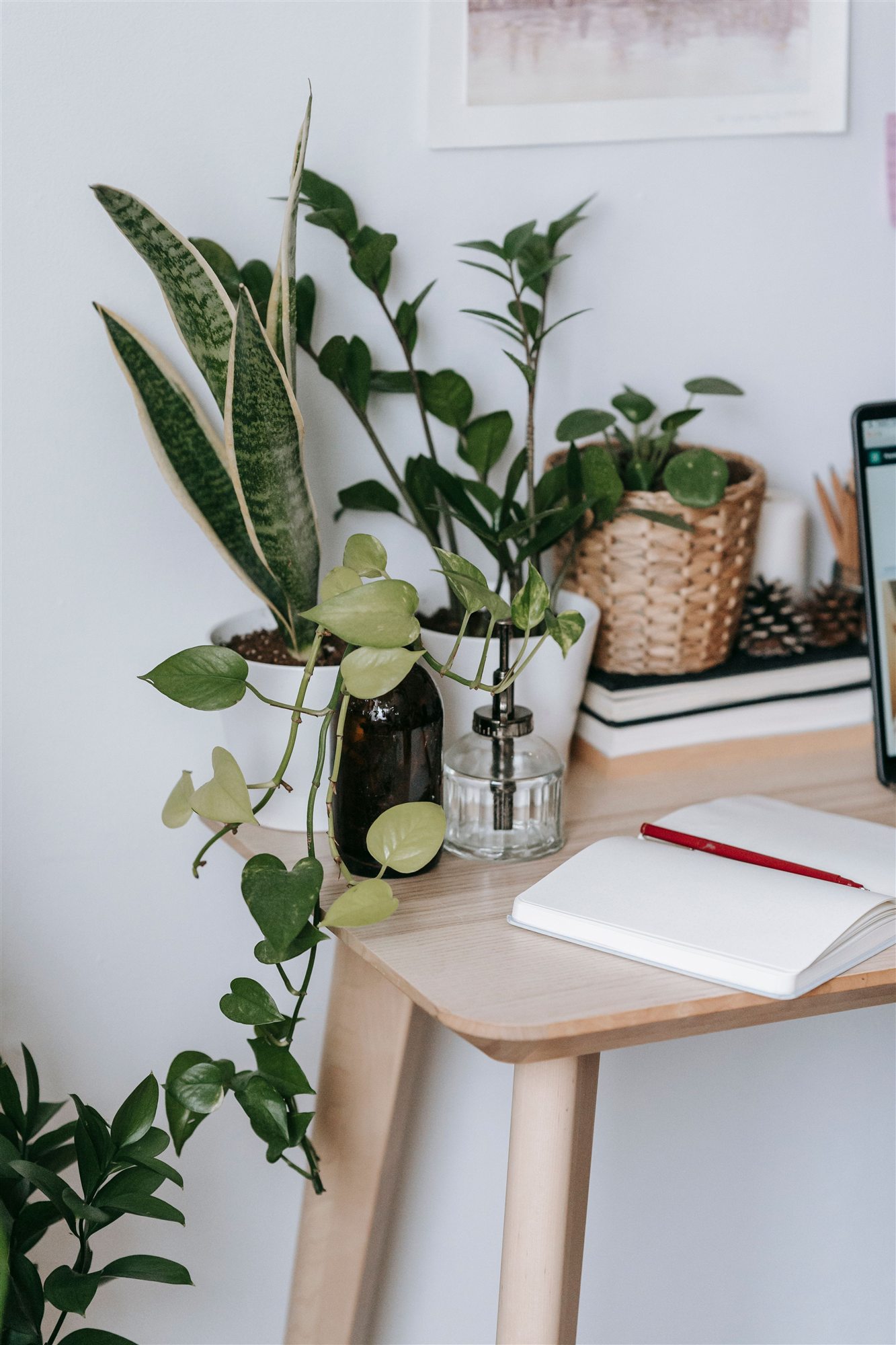 Houseplants beside an open notebook in a plant-care workspace