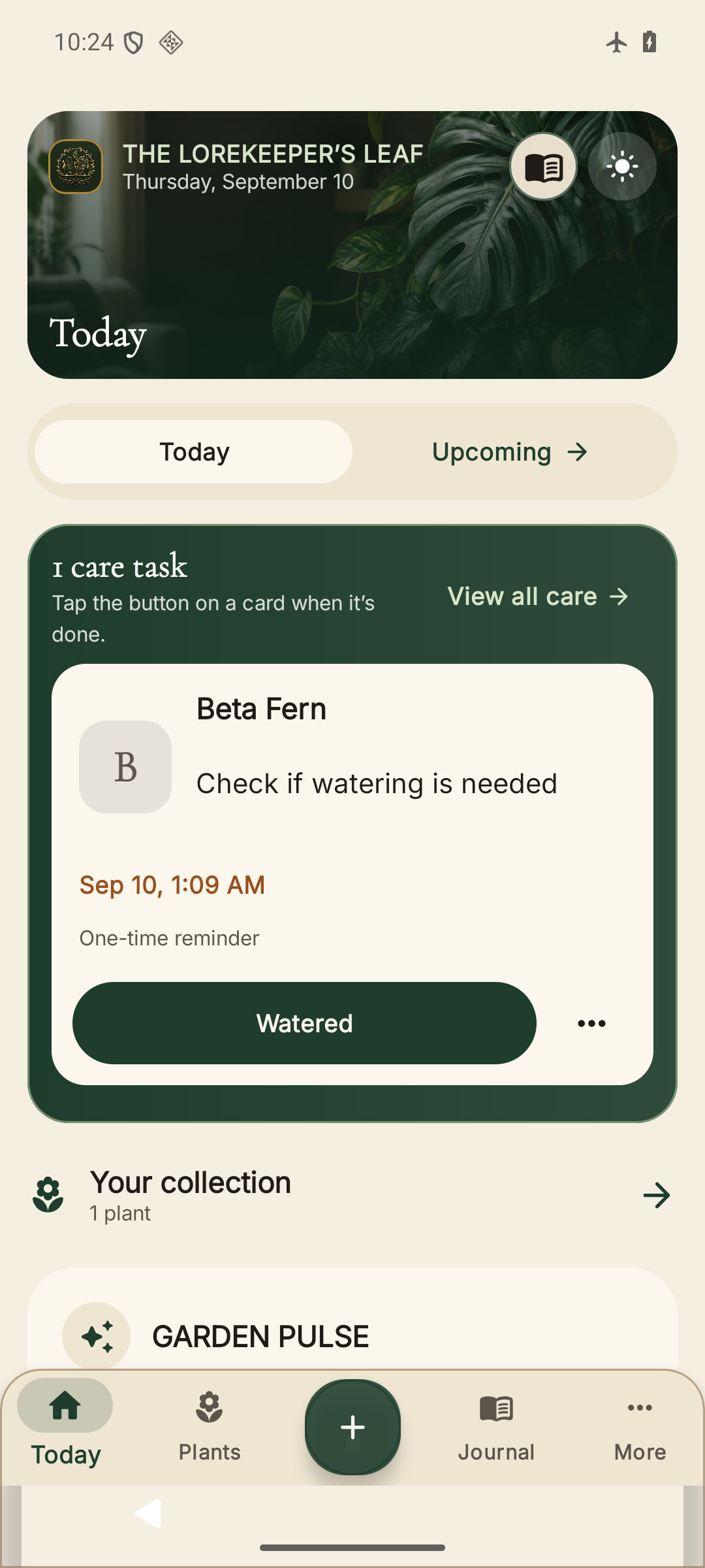 Android beta Today with an example fern, a care reminder, and collection navigation