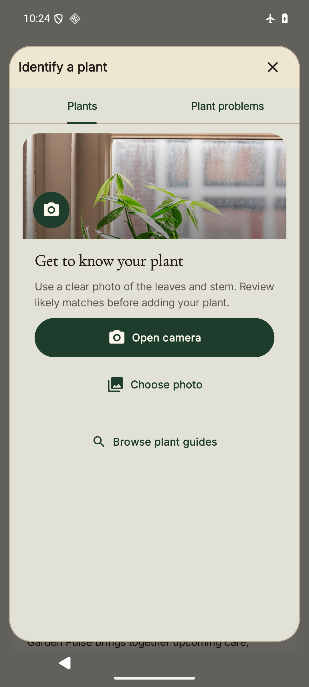 The Android beta Identifier with Open camera, Choose photo, plant guides, and a compact Close button